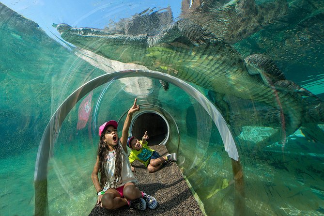 Zoo Miami Ticket with Optional Upgrade - The heart of Zoo Miami: cageless enclosures and close-up animal viewing